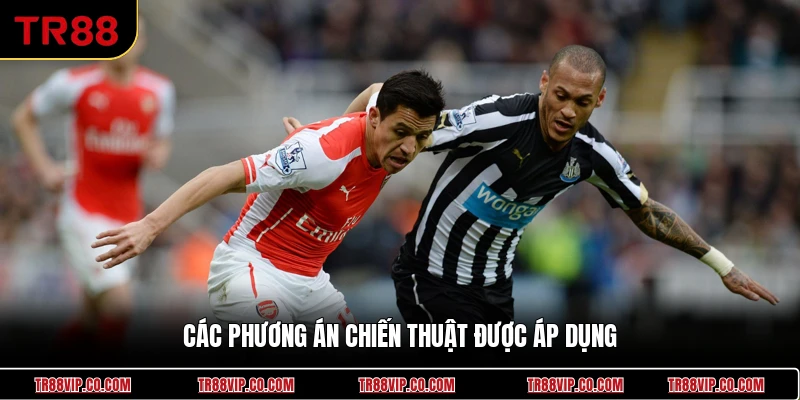 Các phương án chiến thuật được áp dụng
