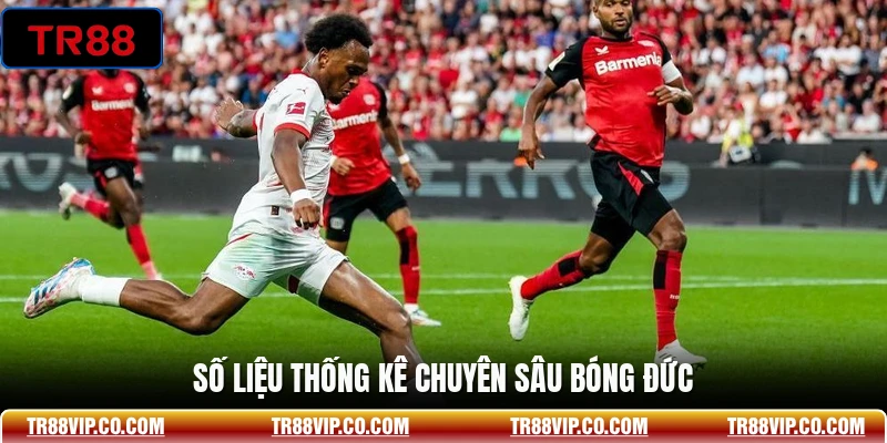 Số liệu thống kê chuyên sâu bóng đức